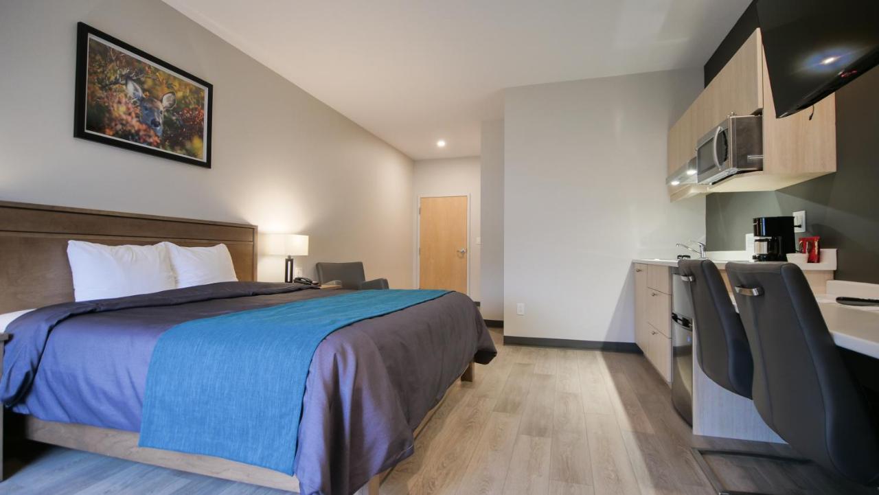 Motel L'Abri Carleton-sur-Mer Екстер'єр фото
